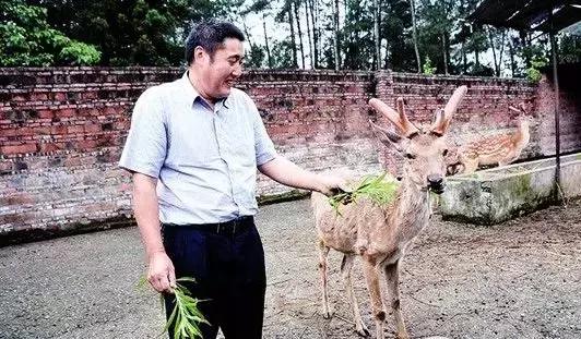 打工没出路创业没思路,打工没出路想回家