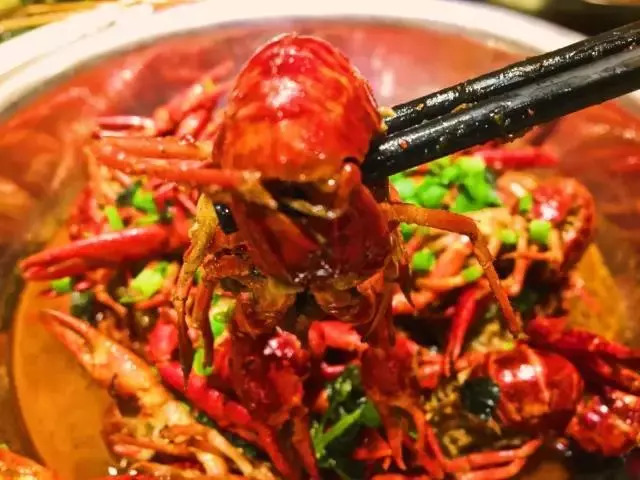 认真长胖,这里是一份精心测评的早秋贴膘报告