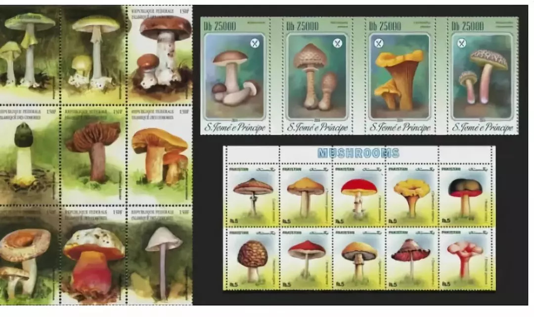 扎老板小人、用邮票检测晨勃……2018搞笑诺奖发布