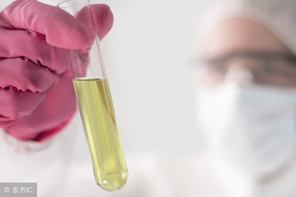 尿蛋白阳性肾脏b超正常,尿蛋白阳性无管型