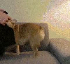 琴行工作岗位总结,琴行工作月总结