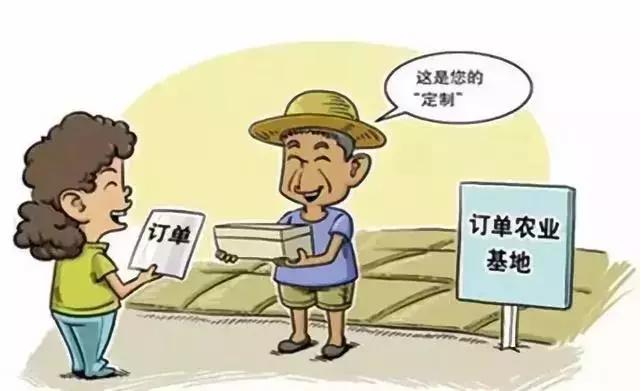 互联网和农业未来的机会在哪里,农业互联网的血泪史