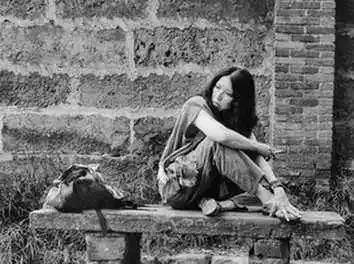 三毛读书经典语录,三毛读书