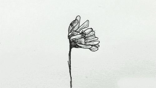 有一种忧伤是哪首歌里的歌词,有一种忧伤叫老歌