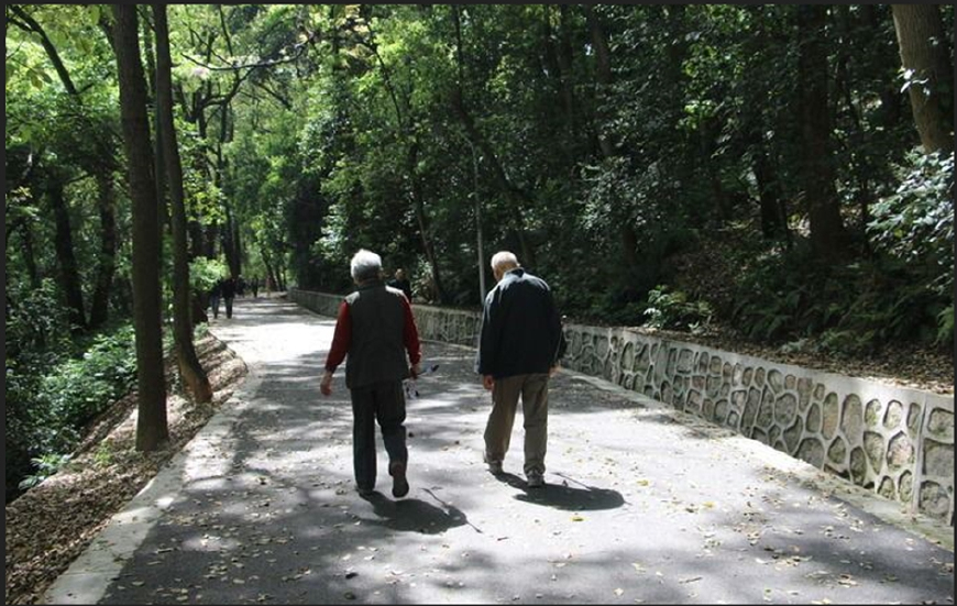 我们这一代怎么养老,我们这代人该何去何从