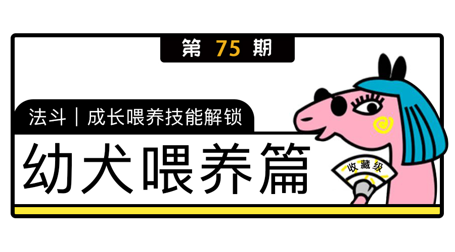 法斗幼崽怎么养,法斗幼犬喂养指南