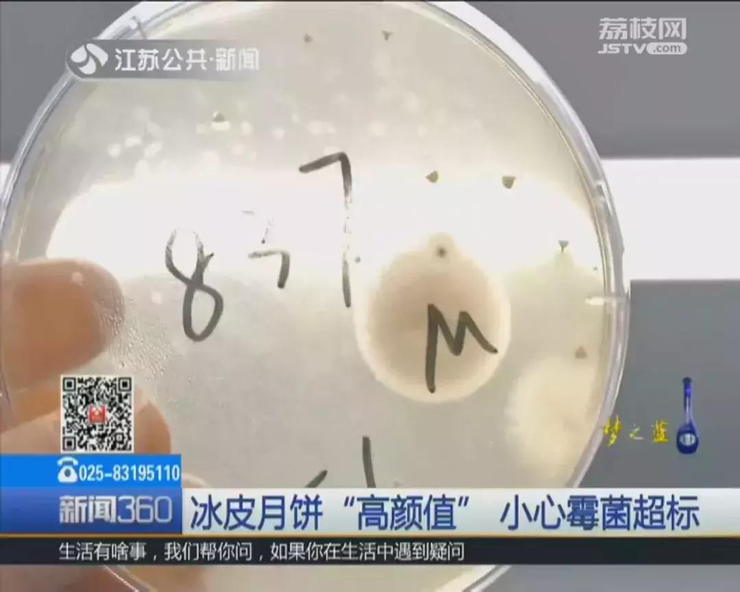 冰皮月饼霉菌超标是什么颜色,吓skr人