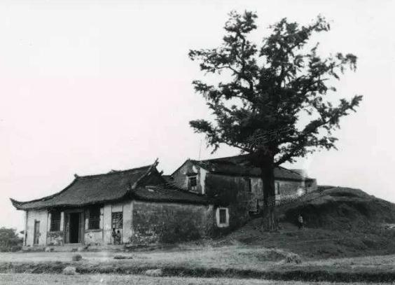 上海旅游攻略周边古镇,上海罗店古镇旅游攻略