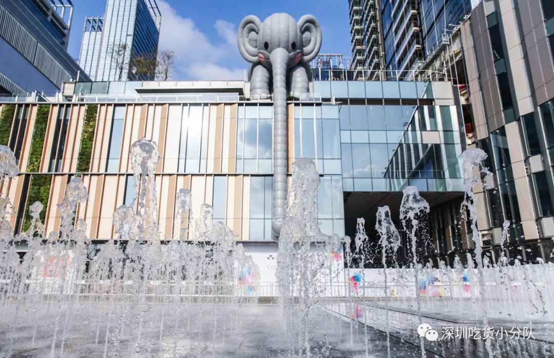 深圳城市快闪春晚,深圳市光明新区快闪