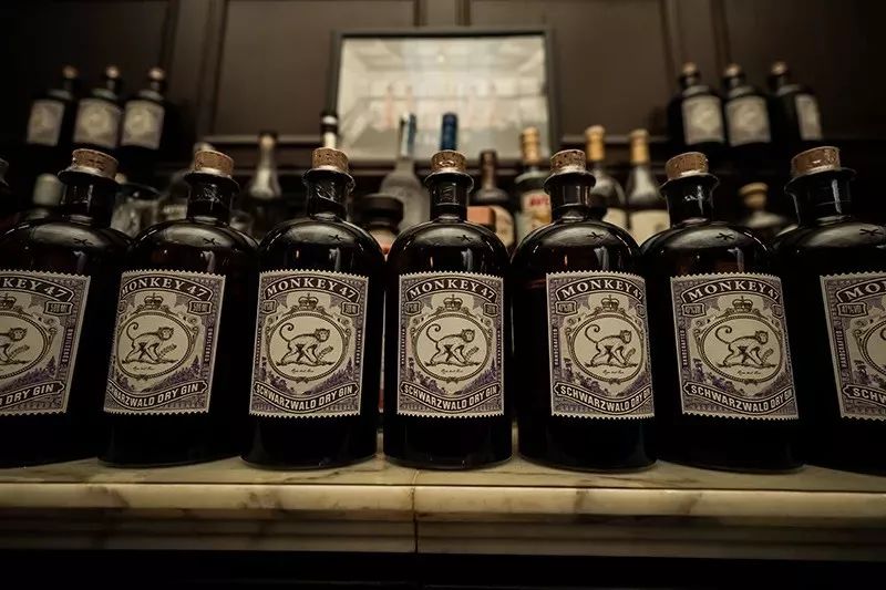 微醺｜“爬梯”落幕、酒劲儿未散，GIN迷去哪续火？