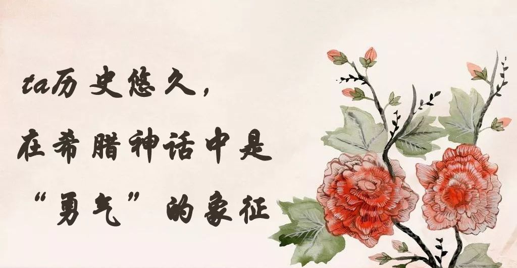 「百草园」第一次世界大战中的功臣消毒剂——百里香（七十五）