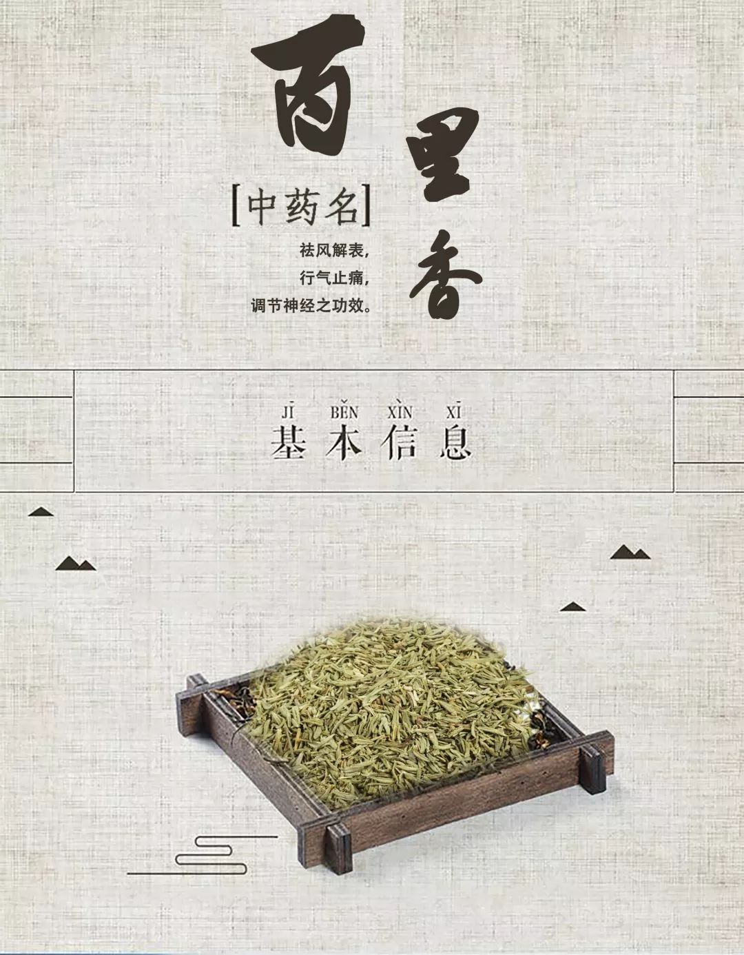 「百草园」第一次世界大战中的功臣消毒剂——百里香（七十五）