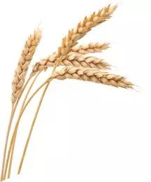 人均可支配收入农村和城镇增速图,杭州农村居民年平均收入