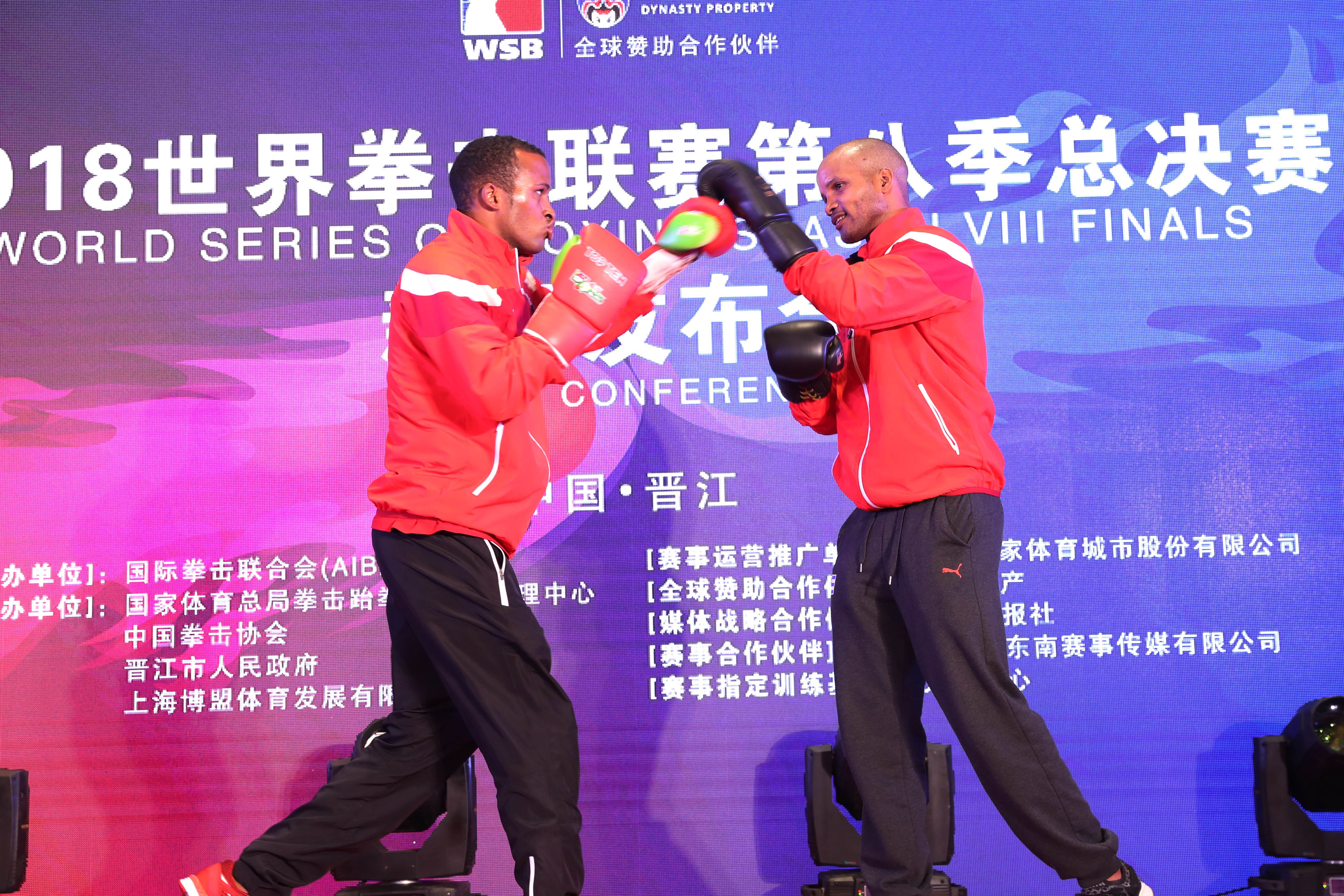 wsb世界职业拳击联赛,wsb拳击联赛