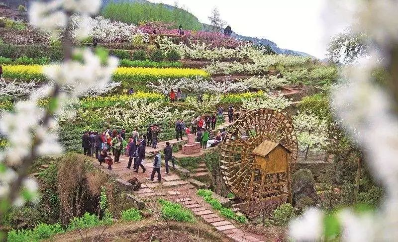 明天放假了~眉山交警送你一份出行路况指南,一定要认真看……