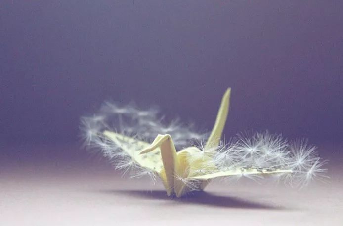 每天折一个千纸鹤,每天折一只纸鹤