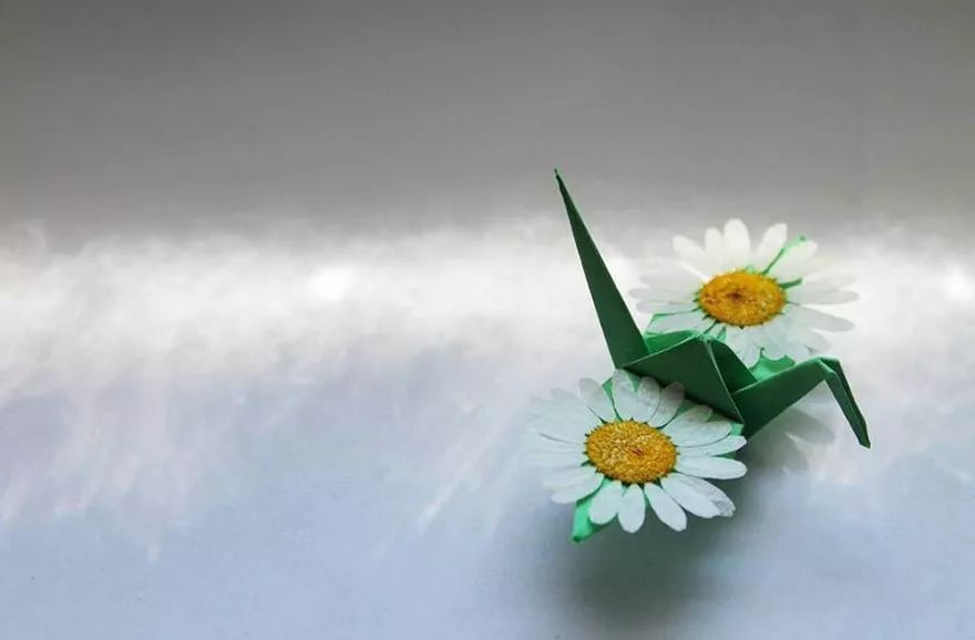 每天折一个千纸鹤,每天折一只纸鹤