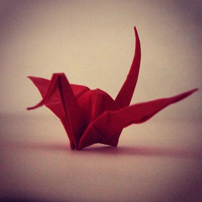 每天折一个千纸鹤,每天折一只纸鹤