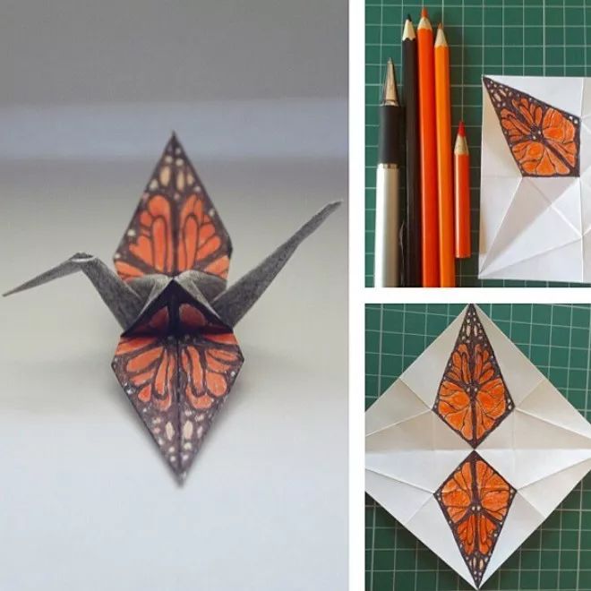 每天折一个千纸鹤,每天折一只纸鹤