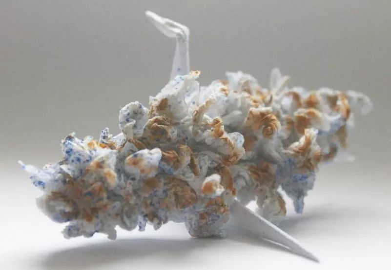 每天折一个千纸鹤,每天折一只纸鹤