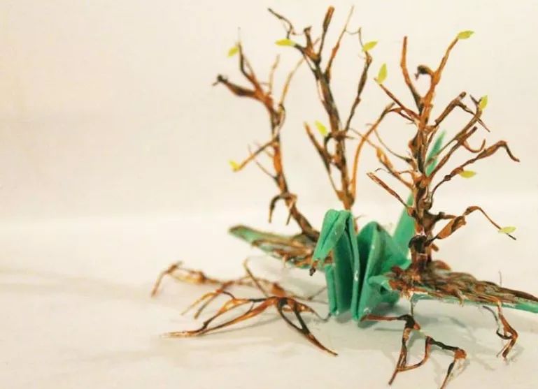 每天折一个千纸鹤,每天折一只纸鹤