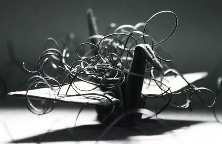 每天折一个千纸鹤,每天折一只纸鹤