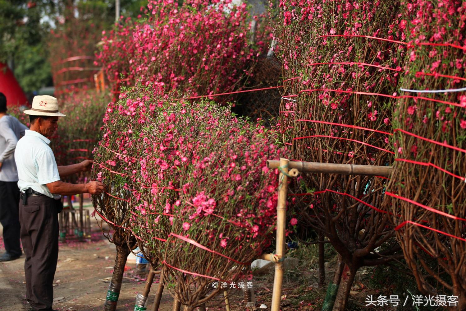 英语翻译哪个城市好,英文翻译中国