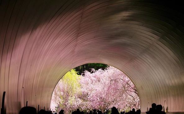 这7座博物馆用颜值圈粉无数,贵州博物馆网红打卡点