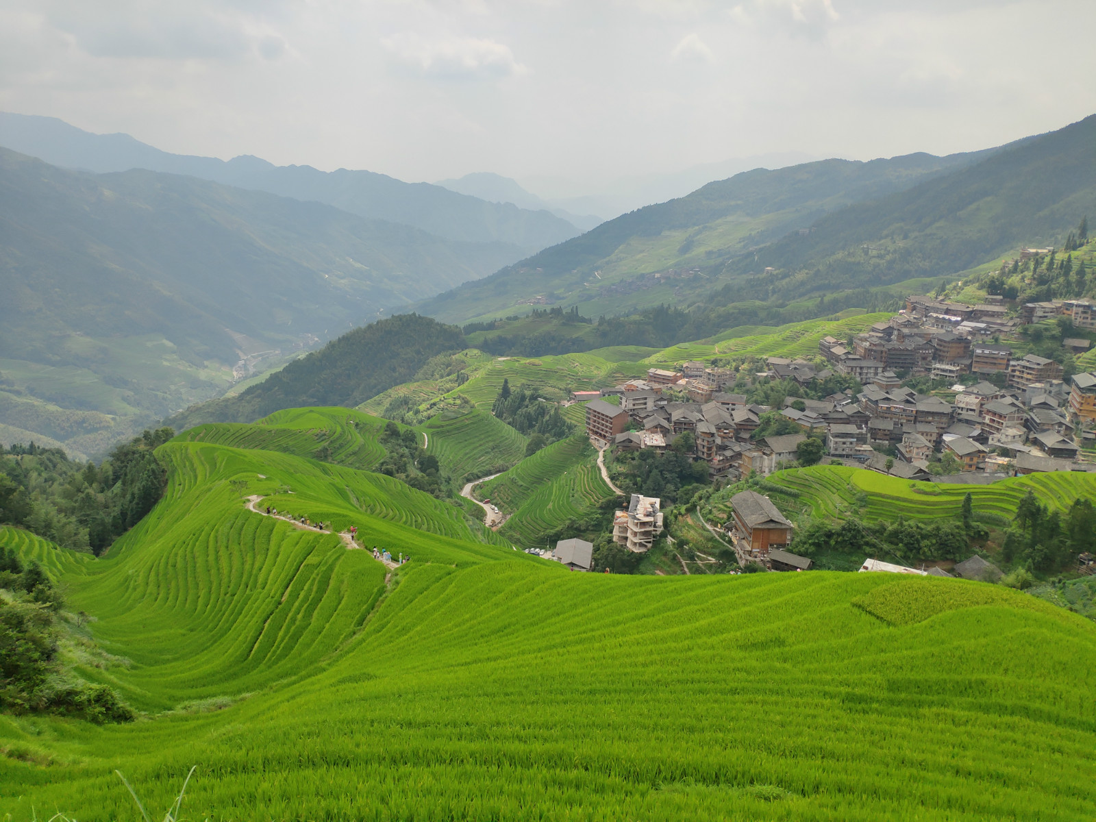醉美广西龙胜梯田,广西秋天的龙脊梯田