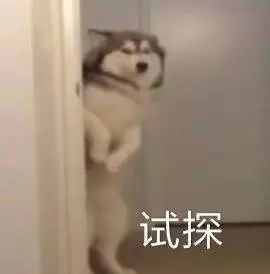 大牌口红试色推荐种草,平价口红好看色号推荐