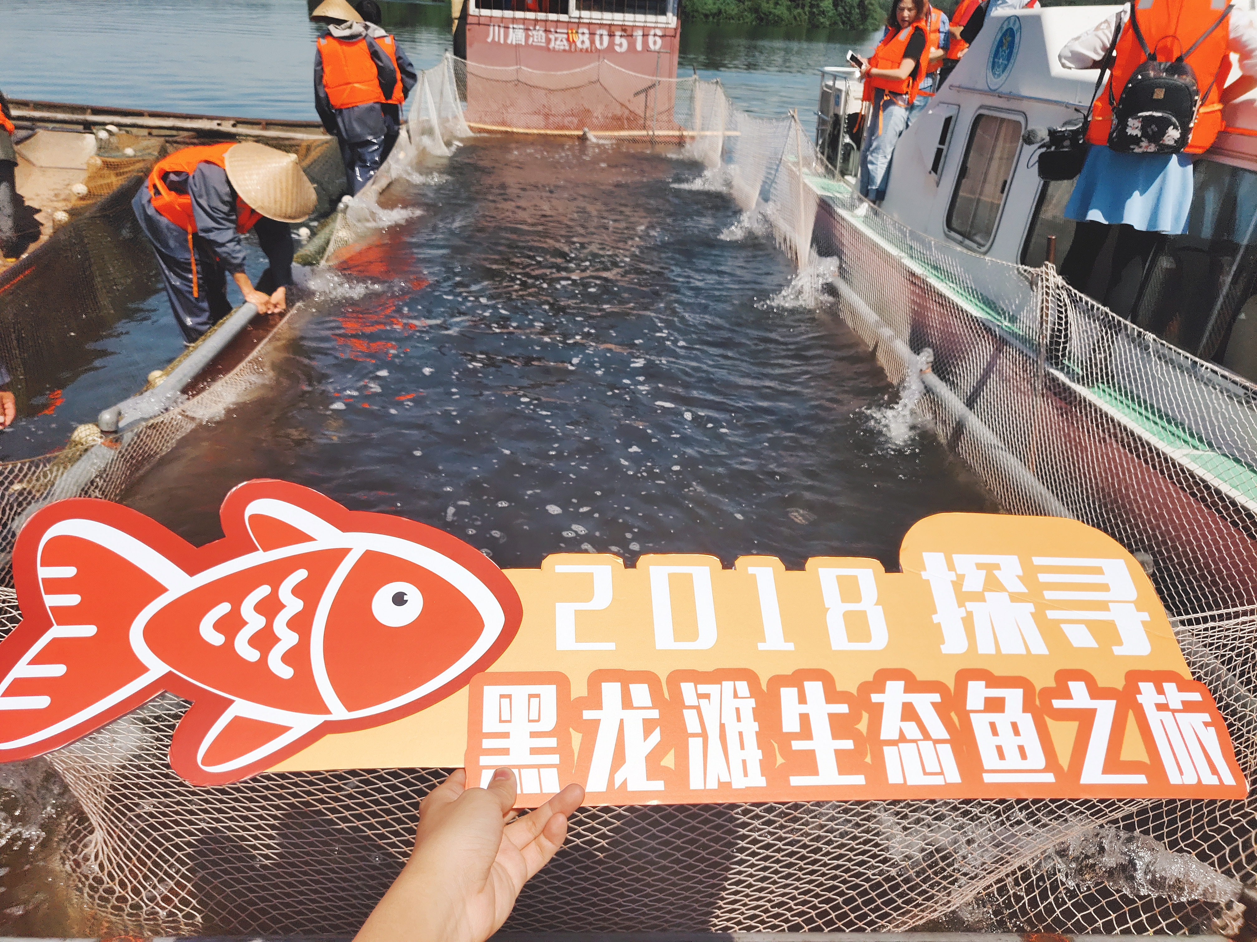 中秋国庆吃海鲜,国庆中秋吃鱼好地方