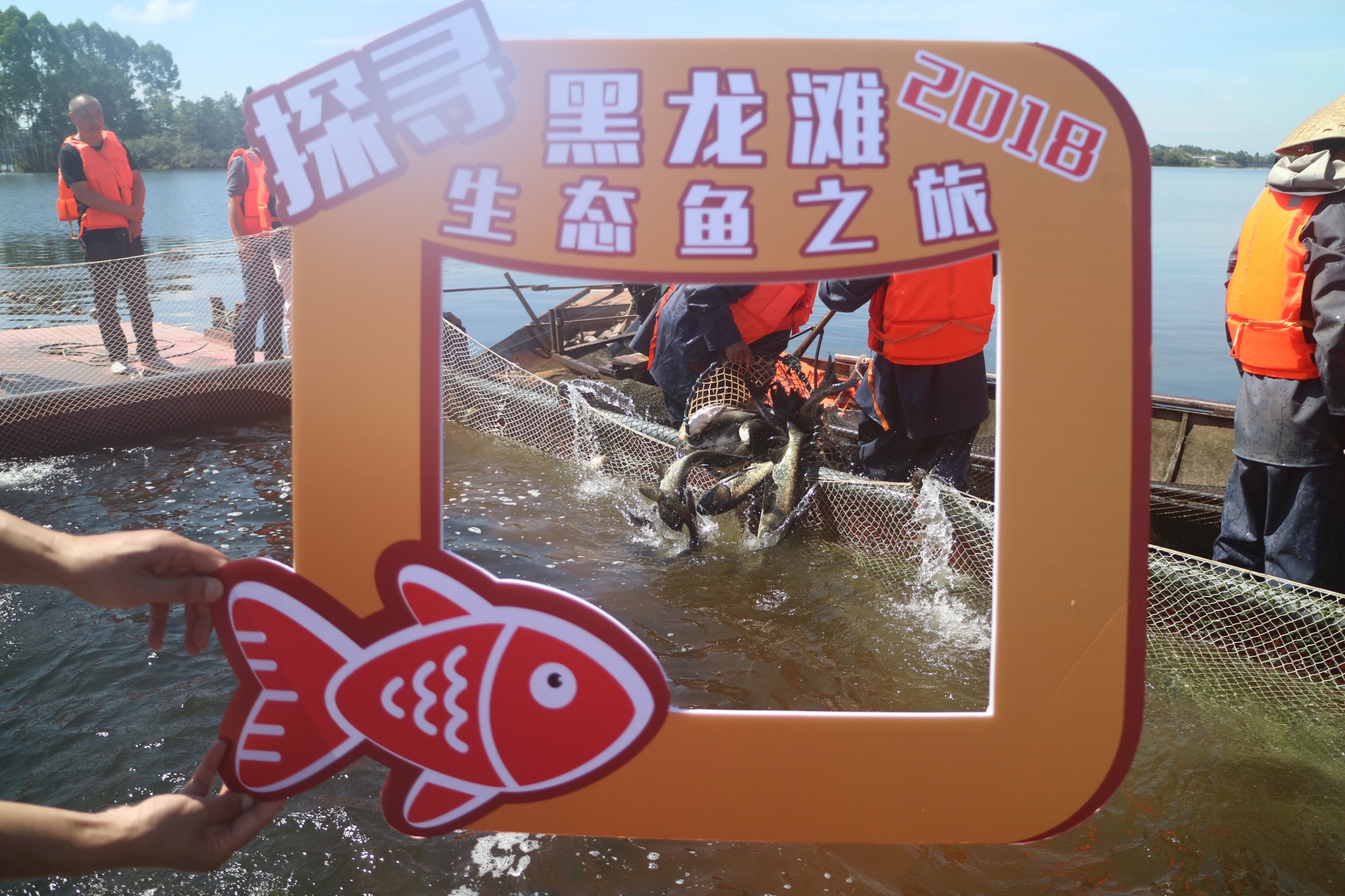 中秋国庆吃海鲜,国庆中秋吃鱼好地方