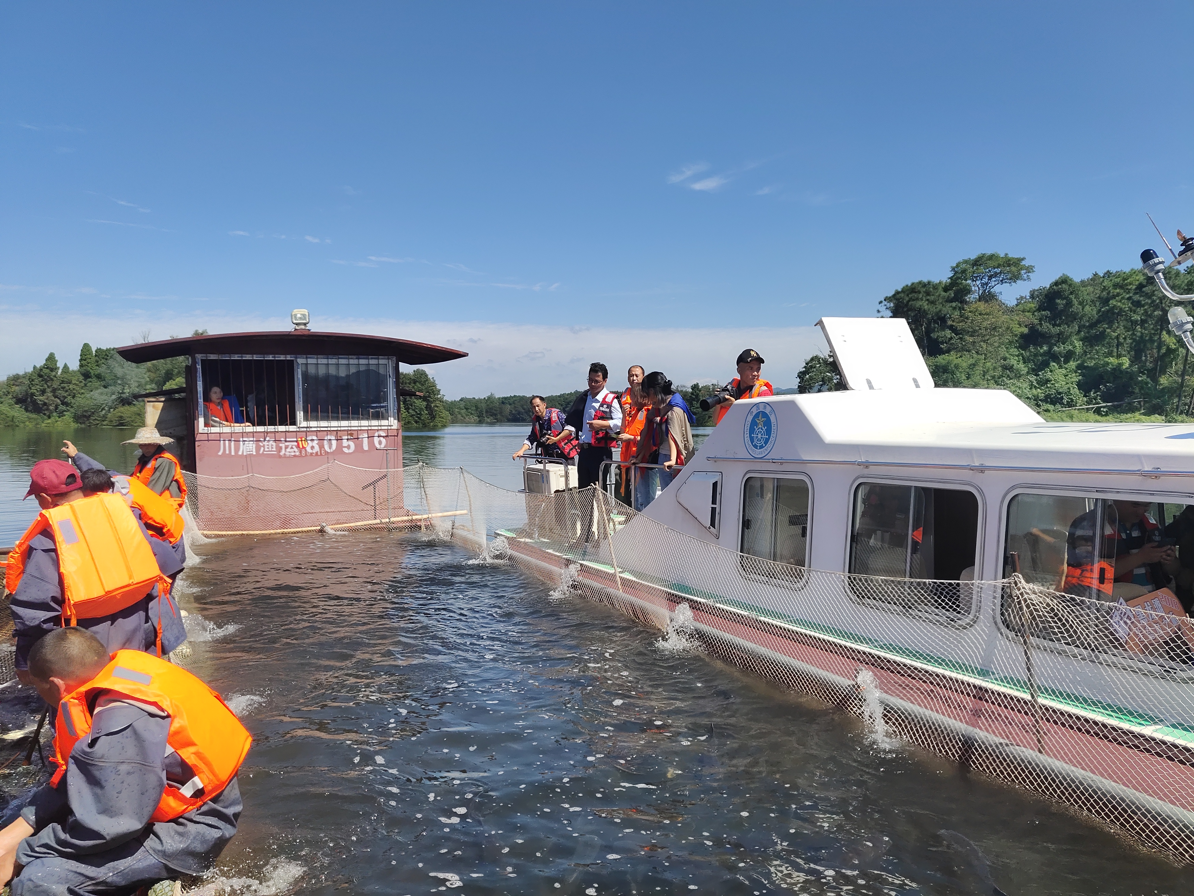 中秋国庆吃海鲜,国庆中秋吃鱼好地方