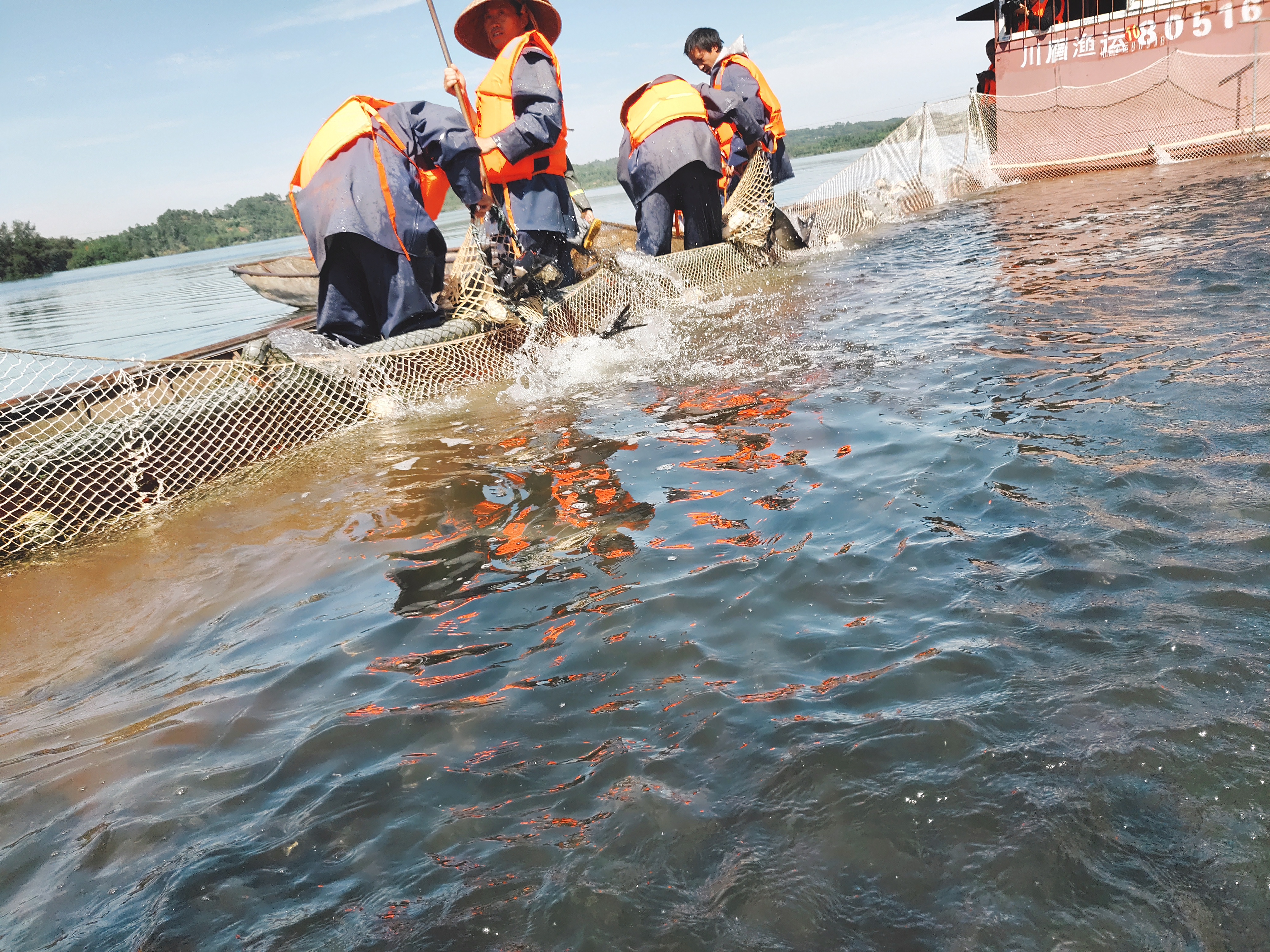 中秋国庆吃海鲜,国庆中秋吃鱼好地方