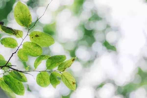 旅发大会开幕后活动安排,旅发大会公园