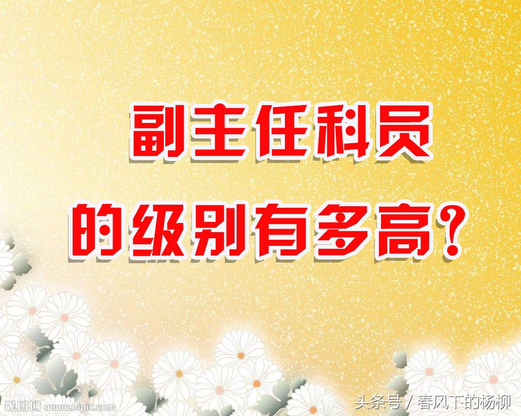 “陈婧妍妈妈”的副主任科员是什么级别?