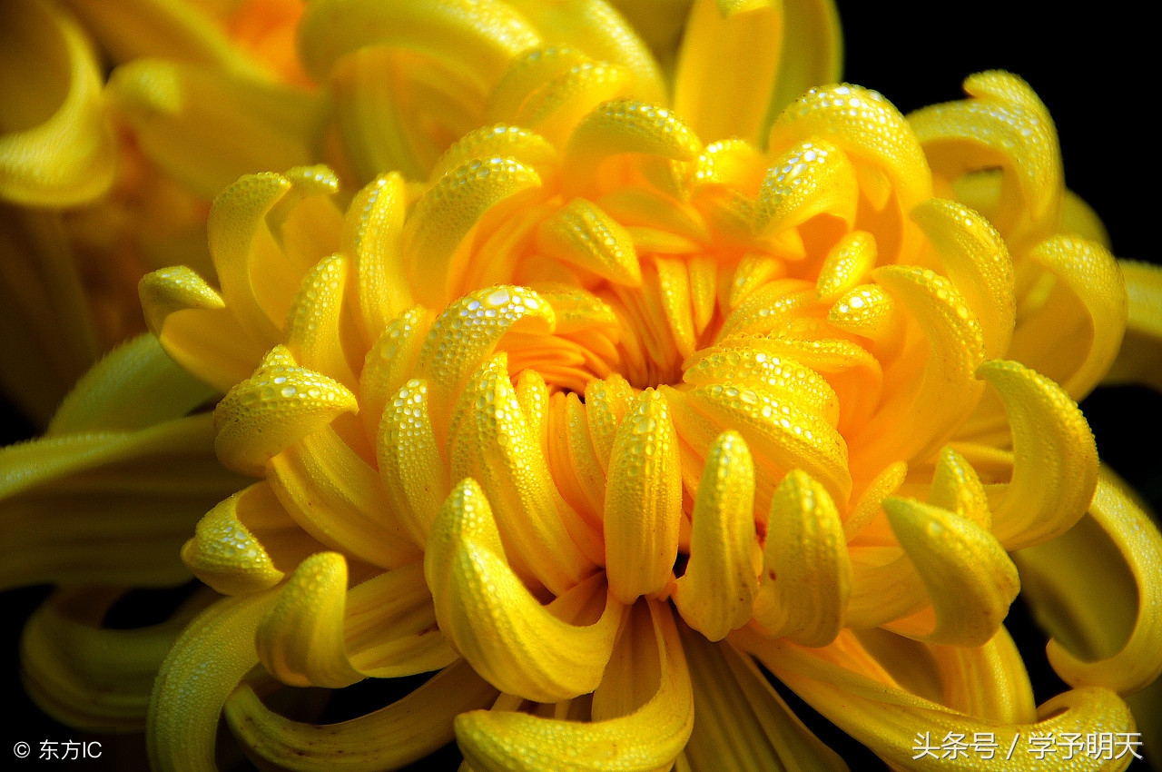 大语文趣味历史,大语文学习