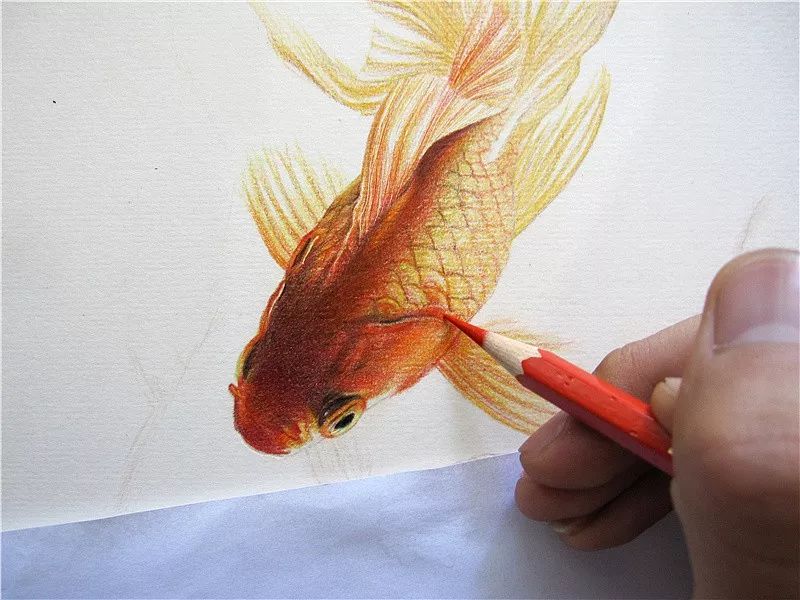 拥有800万超高人气，看看这位大神，是如何用水溶彩……