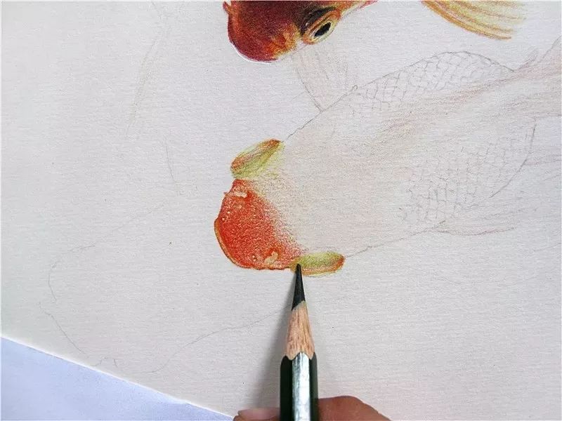 拥有800万超高人气，看看这位大神，是如何用水溶彩……