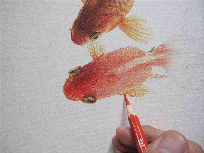 拥有800万超高人气，看看这位大神，是如何用水溶彩……