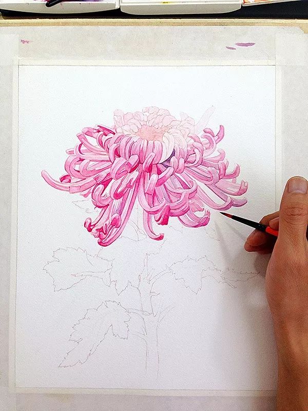 拥有800万超高人气，看看这位大神，是如何用水溶彩……