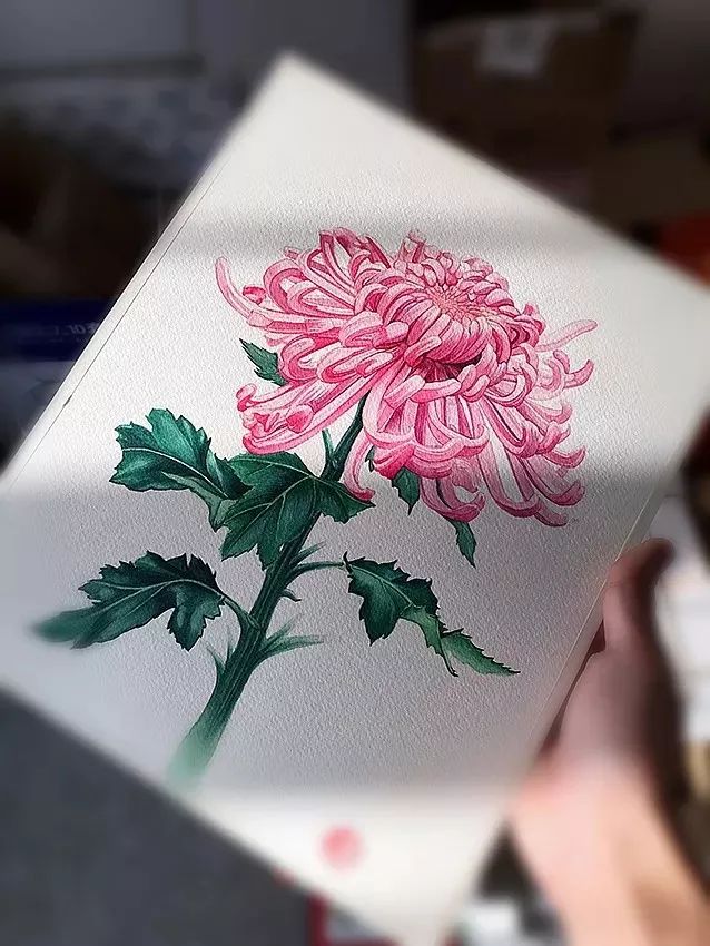 拥有800万超高人气，看看这位大神，是如何用水溶彩……