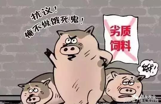 僵猪怎么处理最省钱,治疗僵猪的妙招