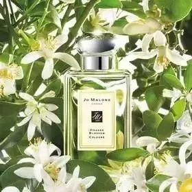 jomalone祖马龙香水如何鉴别真假,jomalone祖玛珑香水女士淡香水