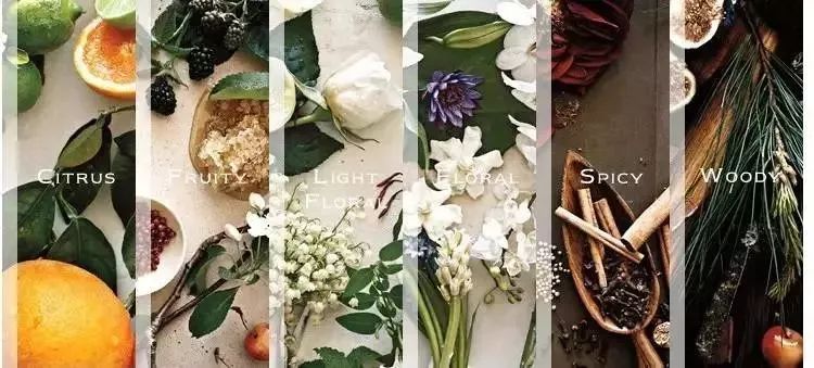 jomalone祖马龙香水如何鉴别真假,jomalone祖玛珑香水女士淡香水