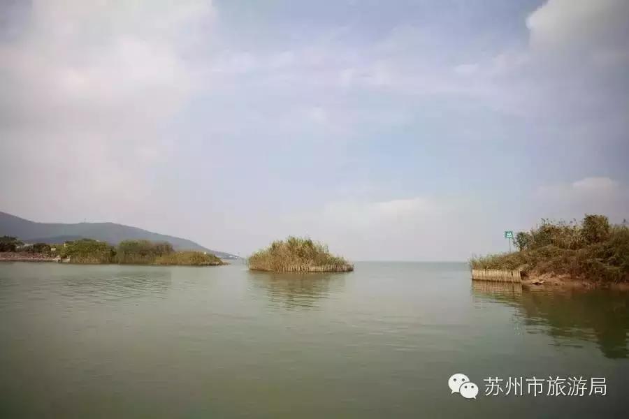 苏州东西山的橘子采摘时间,苏州东山免费摘橘子攻略