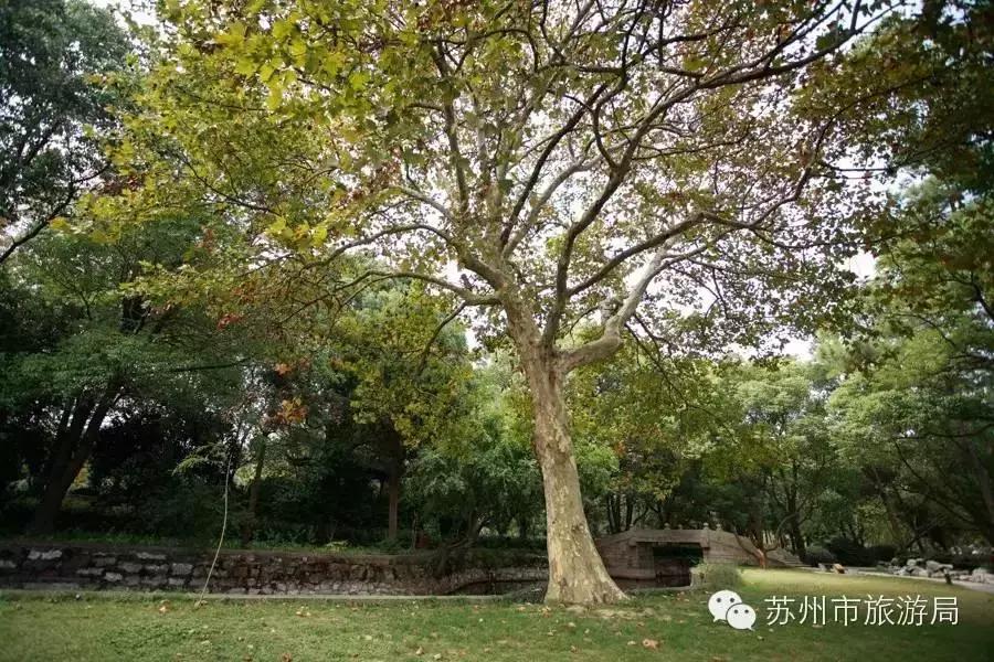 苏州东西山的橘子采摘时间,苏州东山免费摘橘子攻略