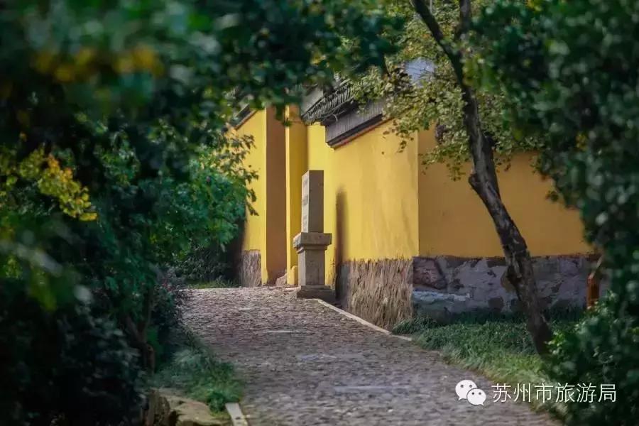 苏州东西山的橘子采摘时间,苏州东山免费摘橘子攻略