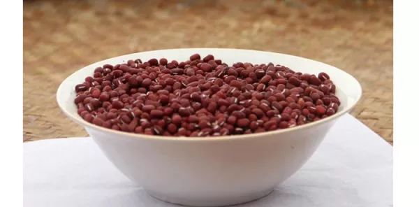 赤小豆补血吗是真的吗,赤小豆汤补血吗