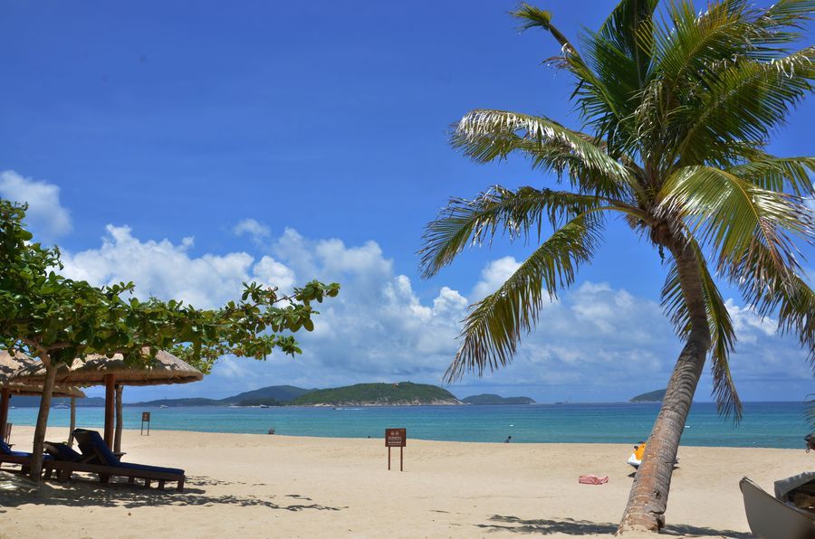 十一去三亚自助游攻略路线怎么走,这份三亚秋冬吃喝攻略请收好